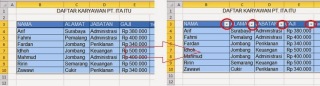 auto filter ms excel